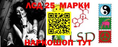 ECSTASY Новодвинск
