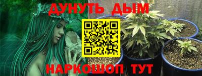 ECSTASY Новодвинск