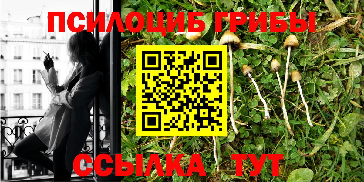 хочу   Вход с VPN  Торжок  Псилоцибиновые грибы мухоморы 