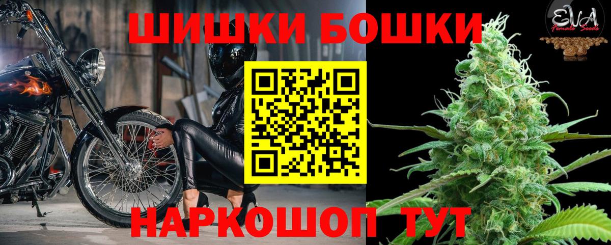 Бошки Шишки MAZAR Торжок
